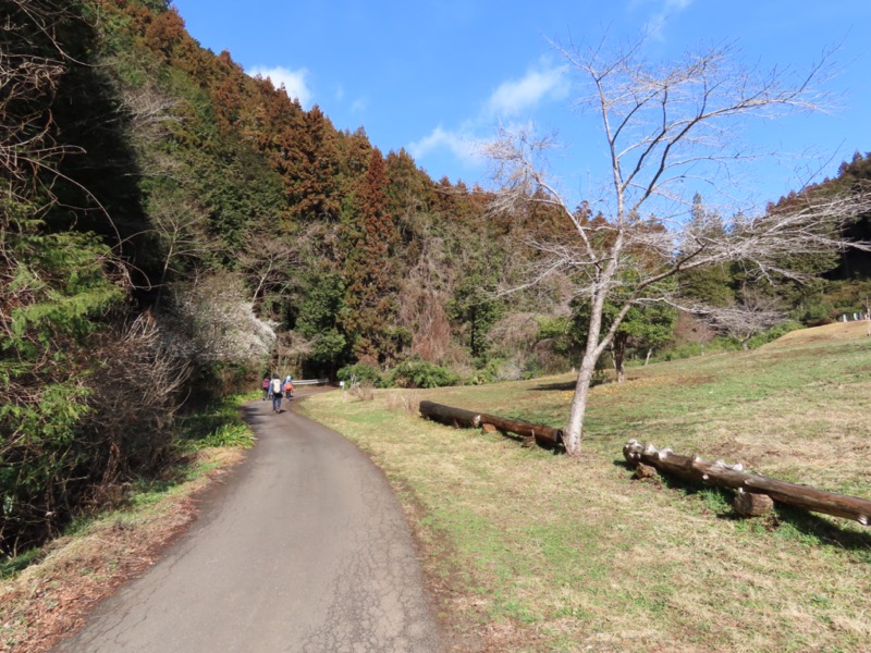 日和田山、物見山